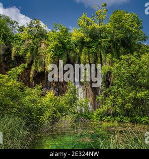 Cascata illuminata dalla luce solare vista attraverso gli alberi con laghetto in verde lussureggiante foresta, Plitvice Lakes National Park UNESCO patrimonio dell'umanità Croazia Foto Stock