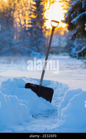 Still life of winter tools neve pala in neve, freddo inverno sera con sole tramontare attraverso gli alberi. Idilliaco stile di vita nordico. Spesso strato di neve. Foto Stock