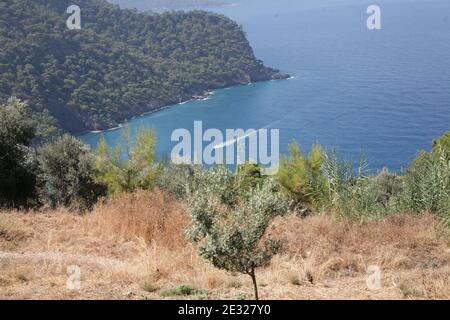 Alto angolo di un mare meraviglioso circondato da colline coperte con foreste Foto Stock