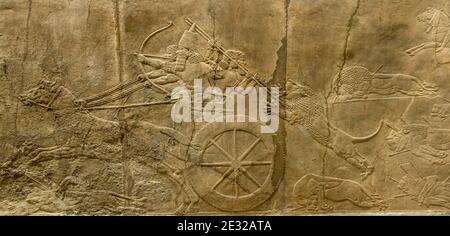 La scena della caccia al leone di Ashurbanipal II. 7th secolo a.C. Dal Palazzo Nord a Ninive, ora nel British Museum, Londra, UKcivilation Foto Stock