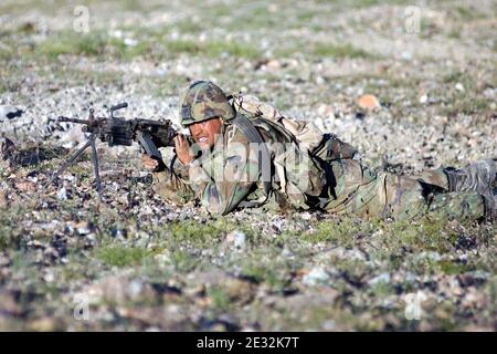 M249 FN MINIMI DM-SD-03-15301. Foto Stock