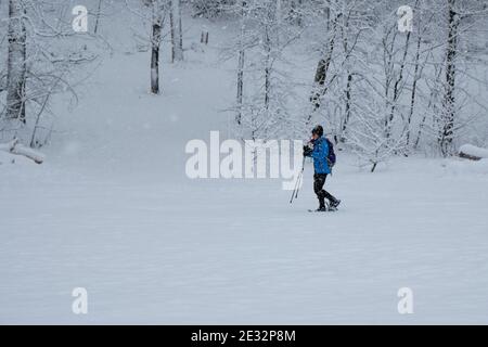 Ottawa, Canada. 16 gennaio 2021. Gli snowshooter che si godono la neve fresca nell'Arboreto mentre le nevi continuano a cadere mentre la città ancora lotta con la situazione del Covid 19. Lo stato di emergenza pandemico dell'Ontario dichiarato il giovedì consente alle persone di uscire per scopi di esercizio con le persone delle proprie famiglie e limiti di raccolta a cinque persone. La prima tempesta di neve del 2021 ha finora portato oltre 15 cm di neve, con un extra di 10 cm previsto entro domani nella capitale. Credit: Meanderingemu/Alamy Live News Foto Stock