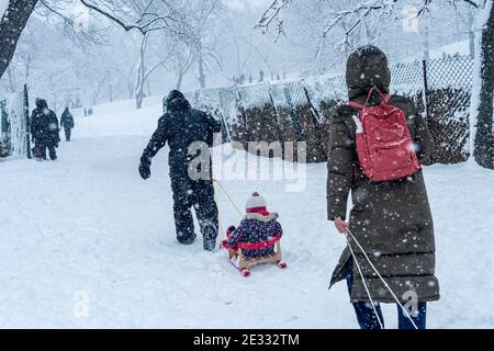 Padre e madre che tirano i bambini in slitte durante la tempesta di neve a Montreal, Canada. Foto Stock