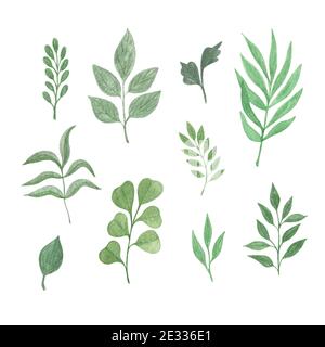 Acquerello semplice set di foglie verdi, illustrazione floreale botanica disegnata a mano per qualsiasi scopo di disegno può essere utilizzato per diversi scopi di disegno, greeti Foto Stock