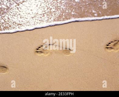 Orme nella sabbia, Warwick Long Bay, Warwick, Bermuda Foto Stock
