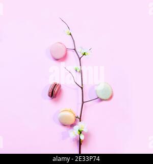 Macaroni francesi su sfondo rosa pastello con un ramo di un fiore di mela primaverile Foto Stock