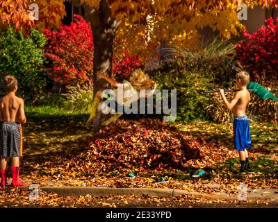 Il bambino salta dall'albero in un mucchio di foglie d'autunno. Foto Stock