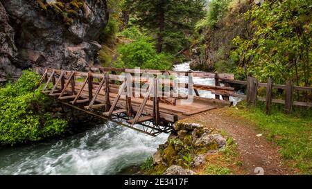 Il primo ponte pedonale che attraversa il West Fork del Wild e Scenic Rapid River in direzione sud dal sentiero n. 113 della FS vicino a Riggins, Idaho. Foto Stock