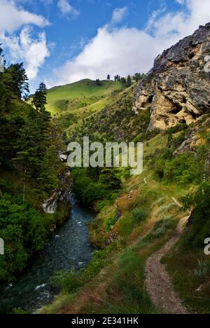 Rapid River Canyon vicino all'inizio del Rapid River Trail n. 113 vicino a Riggins, Idaho e al Rapid River Fish Hatchery Foto Stock