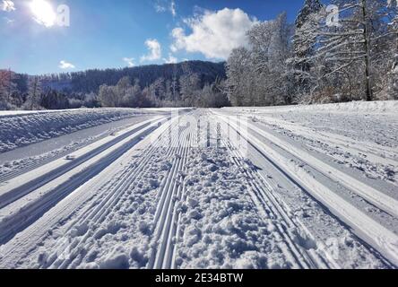 Schongau, Baviera, Germania. 16 gennaio 2021. Tracce nella neve lasciata dagli sciatori di fondo nelle foreste intorno all'Alpsee e allo Schwannsee in Baviera, Germania. Credit: Sachelle Babbar/ZUMA Wire/Alamy Live News Foto Stock