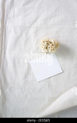 Carta bianca e fiore bianco su tessuto bianco, sfondo decorativo Foto Stock