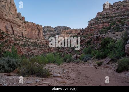 Luce serale sull'ingresso del Grand Wash Trail In Capitol Reef Foto Stock