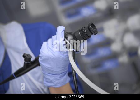 Esperto medico durante il processo diagnostico. Foto Stock