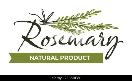 Prodotto naturale al rosmarino, alle erbe e alle spezie Illustrazione Vettoriale