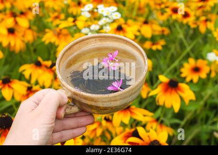 Tisana naturale con fiori viola di piante di erbacce in tazza di ceramica in una mano su sfondo estate rudbeckia fiori. Foto Stock