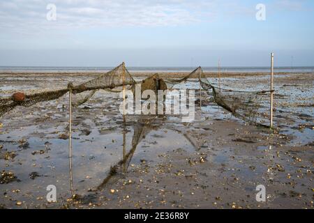 Immagine panoramica del paesaggio costiero di Amrum, Mare del Nord, Germania Foto Stock