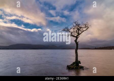 Maestosa immagine paesaggistica di Milarrochy Bay sul Loch Lomond in Scottish Highlands con una splendida lira invernale serale Foto Stock