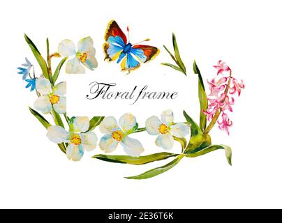 Cornice rettangolare Watecolor con narcisi bianchi, giacinto rosa e primi fiori blu primavera e farfalla blu bordo diagonale originale su bianco b Foto Stock
