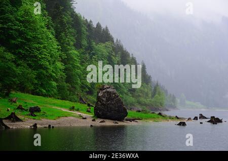 grandi rocce e verde foresta vicino al lago Foto Stock