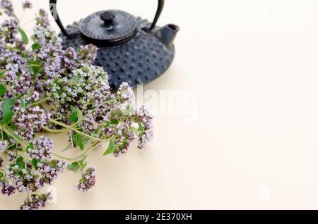 Ciuffi di erbe medicinali fresche origano per tè e condimento su sfondo chiaro con spazio per la copia Foto Stock