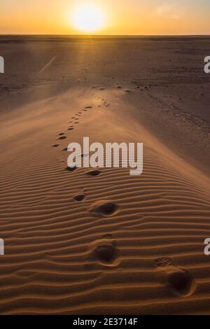 Passi in una duna di sabbia al tramonto, Sahara, a nord del Ciad Foto Stock