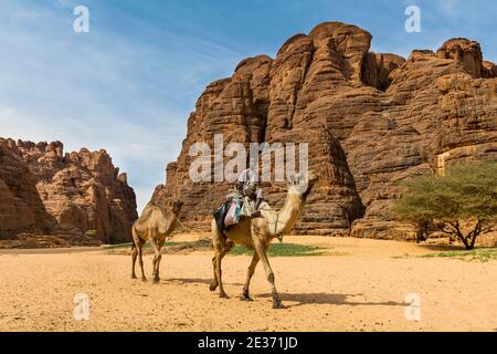 Ragazzo a cavallo su cammello, Anfiteatro di Ouinimia, Ennedi Plateau, Tschad Foto Stock