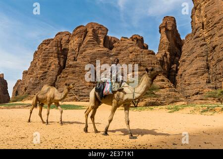 Ragazzo a cavallo su cammello, Anfiteatro di Ouinimia, Ennedi Plateau, Tschad Foto Stock