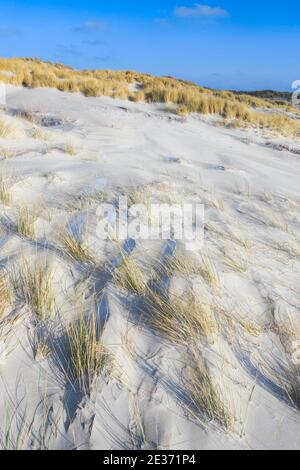 Grass di Marram, Helgoland/Dune, Germania Foto Stock