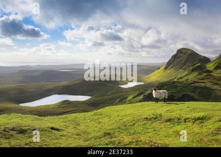 Trotternish, il Quaraig, Isola di Skye, Scozia, Regno Unito Foto Stock