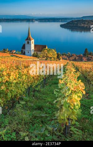 Ligerz sul Lago di Biel, Berna, Svizzera Foto Stock