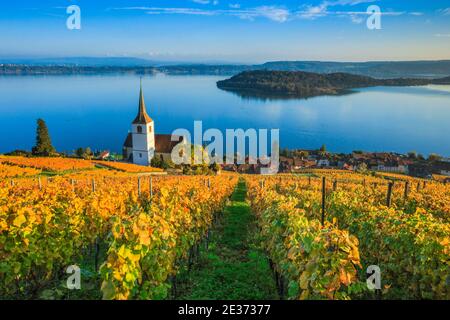 Ligerz sul Lago di Biel, Berna, Svizzera Foto Stock