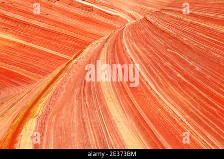 Dettagli in pietra arenaria, Coyote Buttes North, arenaria, Arizona, Stati Uniti Foto Stock