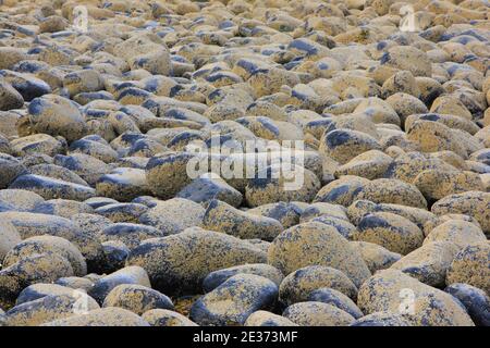 Spiaggia di pietra a Northumberland, Gran Bretagna Foto Stock