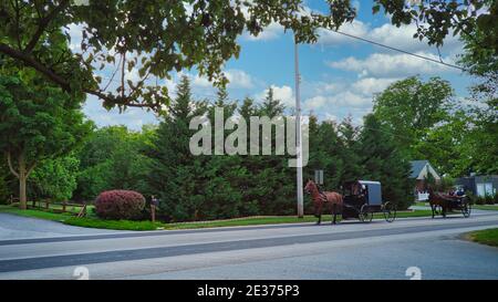 Un cavallo Amish e Buggy che viaggia lungo una strada di campagna In una bella giornata estiva Foto Stock