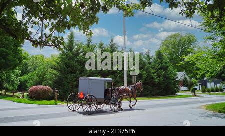 Un cavallo Amish e Buggy che viaggia lungo una strada di campagna In una bella giornata estiva Foto Stock