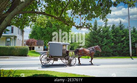 Un cavallo Amish e Buggy che viaggia lungo una strada di campagna In una bella giornata estiva Foto Stock