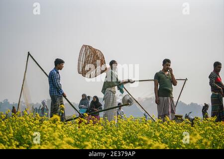 Sylhet, Bangladesh. 16 gennaio 2021. La gente ha visto camminare verso il fiume con il loro 'Polo', una trappola tradizionale fatta di bambù durante 'Polo Bawa', un festival di pesca tradizionale secolare in Bangladesh. Credit: SOPA Images Limited/Alamy Live News Foto Stock