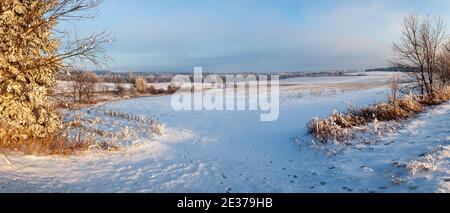 Neve e gelo coperto Wisconsin fattoria campo e foresta con un cielo blu in gennaio, panoramico Foto Stock