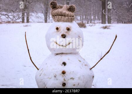 Duelmen, NRW, Germania. 17 gennaio 2021. Un pupazzo di neve felicemente grinning, completo di cappello di lana. Uno strato di neve fresca è caduto durante la notte, trasformando la campagna di Muensterland in un paese delle meraviglie invernali per alcuni giorni. Credit: Imageplotter/Alamy Live News Foto Stock