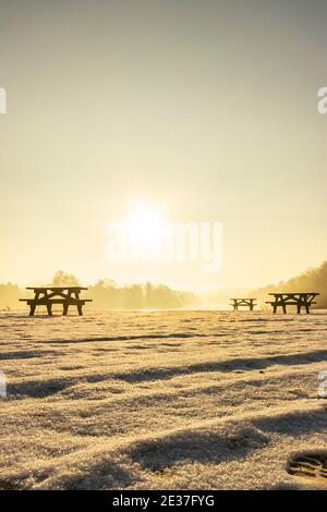 panchine sul lago al sole della mattina presto nella scena del vino Al Trentham Garden picnic Staffordshire Foto Stock