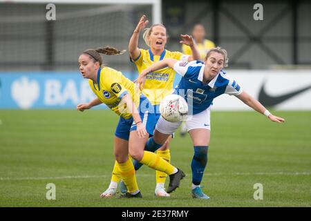 Solihull, West Midlands, Regno Unito. 17 gennaio 2021. WSL: BCFC contro Brighton e Hove Albion. Claudia Walker, attaccante blues in azione. Credit: Peter Lopeman/Alamy Live News Foto Stock