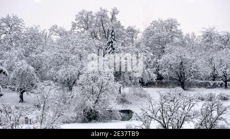 Paesaggio invernale Foto Stock