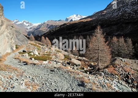 Escursioni nella valle di Zmutt all'ombra del Cervino. Foto Stock