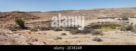 ampio panorama che mostra l'età del ferro bor hemet cisterna vicino un unico antico albero di pistacio atlantico in un burrone vicino il cratere di makhtesh ramon Foto Stock