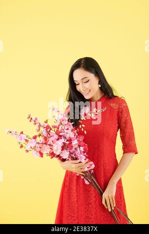 Attraente giovane donna vietnamita felice guardando rami fiorenti di pesca nelle sue mani si preparò a decorare una stanza per Festa lunare di Capodanno Foto Stock