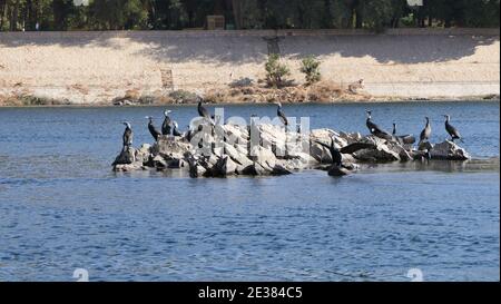 Ägypten - Philae Tempel - Assuan - Nubisches Dorf Foto Stock