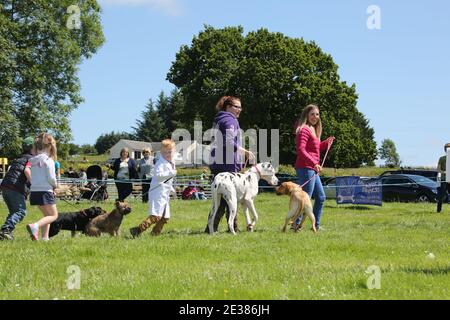 Muirkiirk, East Ayrshire, Scozia, Regno Unito, Village Agricultural Show, agricoltori locali e le famiglie più si incontrano e competono con bestiame, pecore e bestiame in mostra Foto Stock