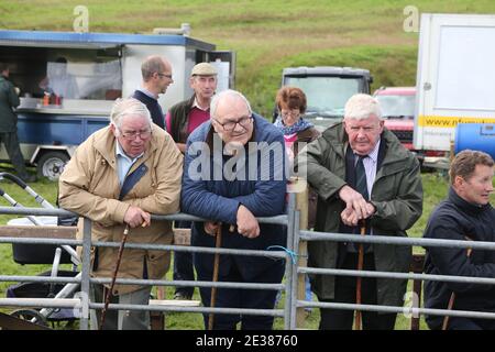 Muirkiirk, East Ayrshire, Scozia, Regno Unito, Village Agricultural Show, agricoltori locali e le famiglie più si incontrano e competono con bestiame, pecore e bestiame in mostra. Il contadino guarda le pecore che vengono sfilate intorno all'anello dello spettacolo mentre si verifica la valutazione Foto Stock