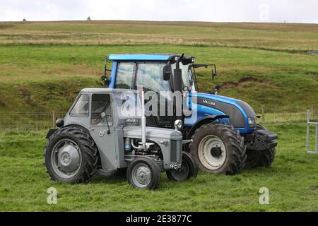 Muirkiirk, East Ayrshire, Scozia, Regno Unito, Village Agricultural Show, agricoltori locali e le famiglie più si incontrano e competono con bestiame, pecore e bestiame in mostra Foto Stock