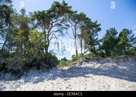 Accesso alla spiaggia di mare attraverso una duna di sabbia in Estate Foto Stock